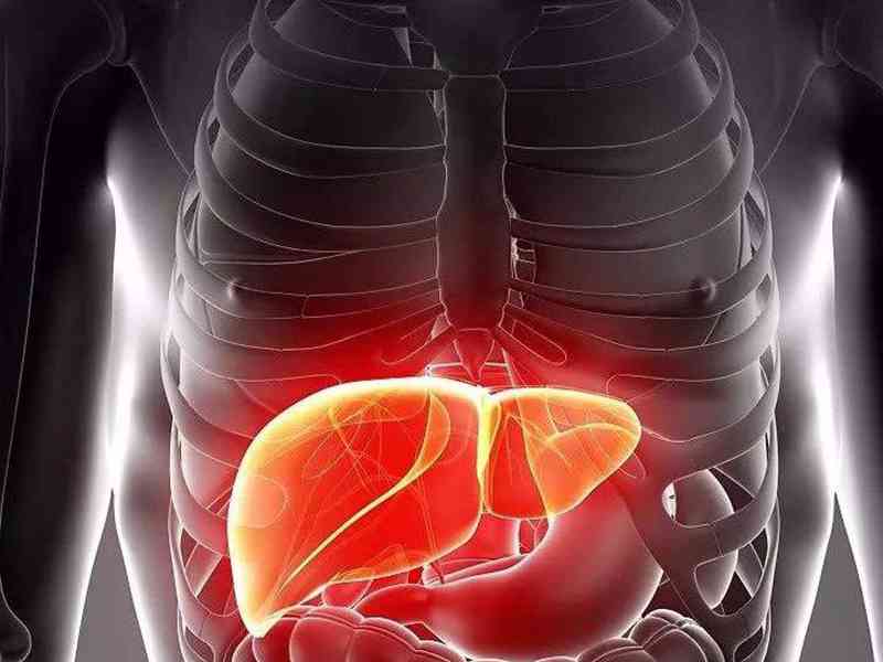 血清谷丙转氨酶是肝脏疾病的判断标准