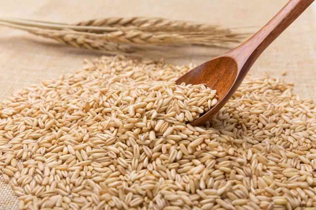 食用燕麦可以预防骨质疏松