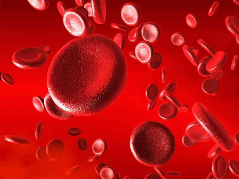 血清总胆红素异常会导致贫血更加严重
