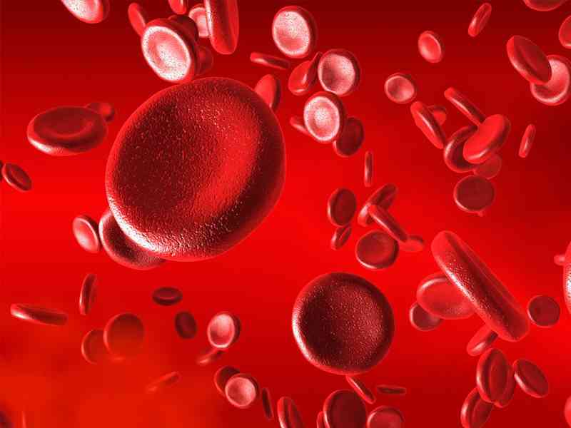 溶血性黄疸会导致血清总胆红素偏低