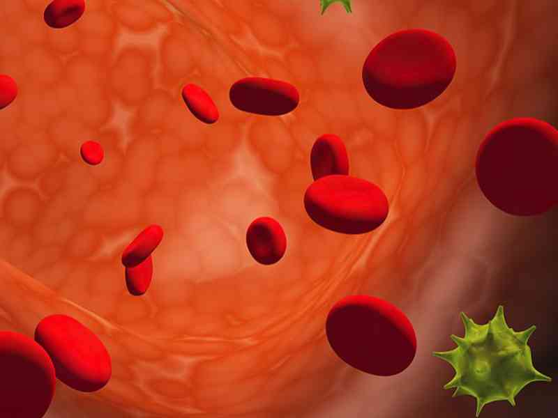 血清总胆红素偏低可能是因为溶血性黄疸
