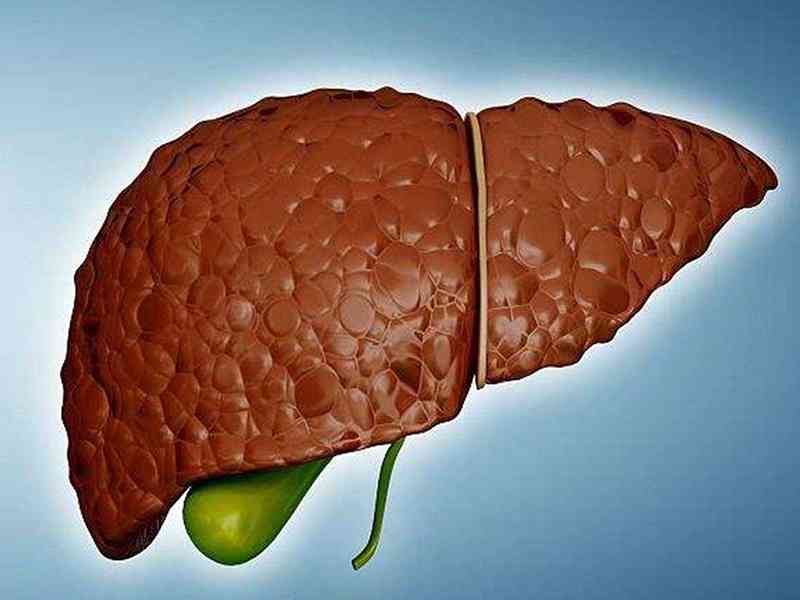 血清总胆红素偏高对肝脏有影响