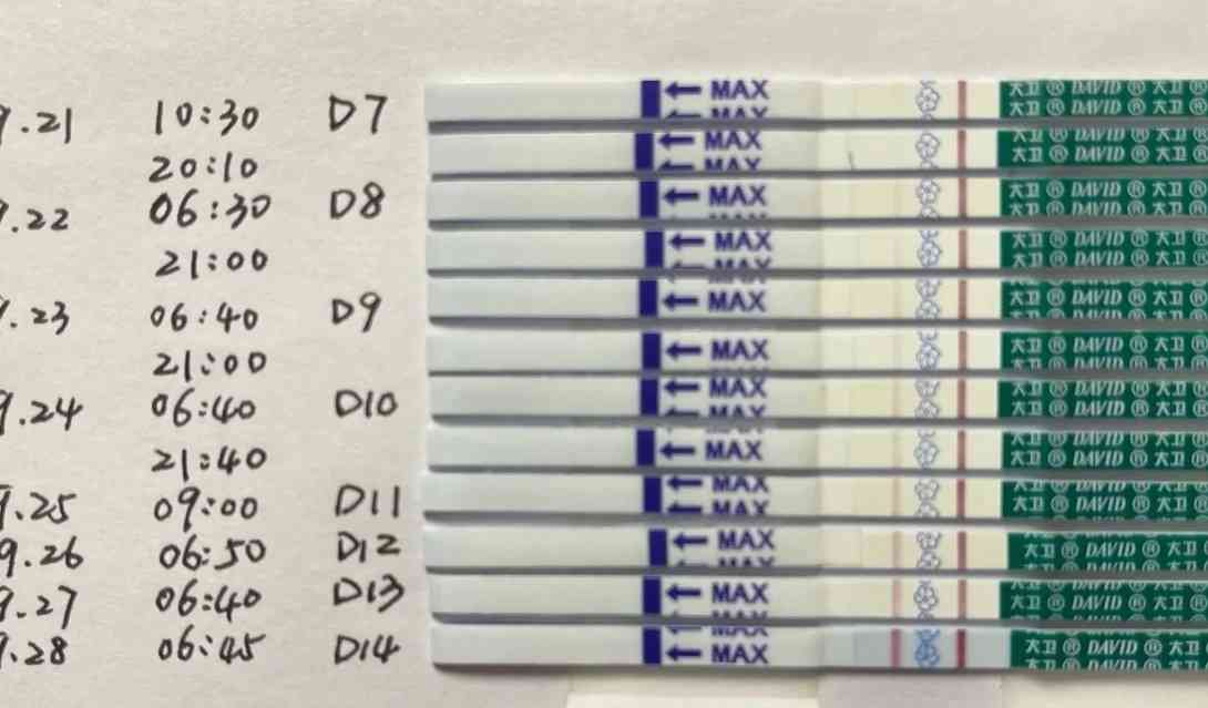试管移植后验孕结果