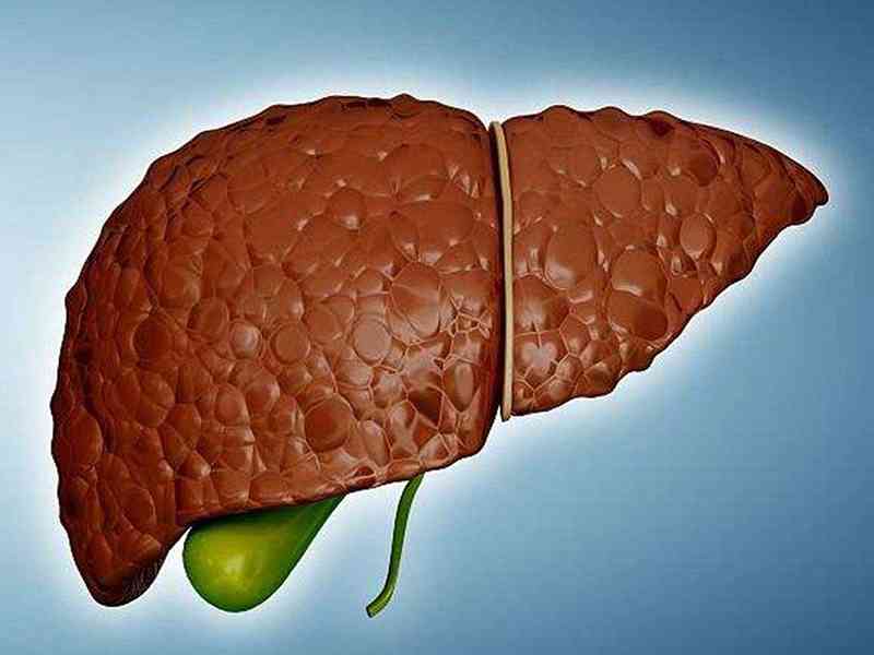 血清碱性磷酸酶会导致肝癌等疾病加重