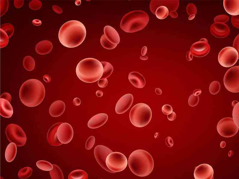 血清碱性磷酸酶异常偏低可能是贫血导致