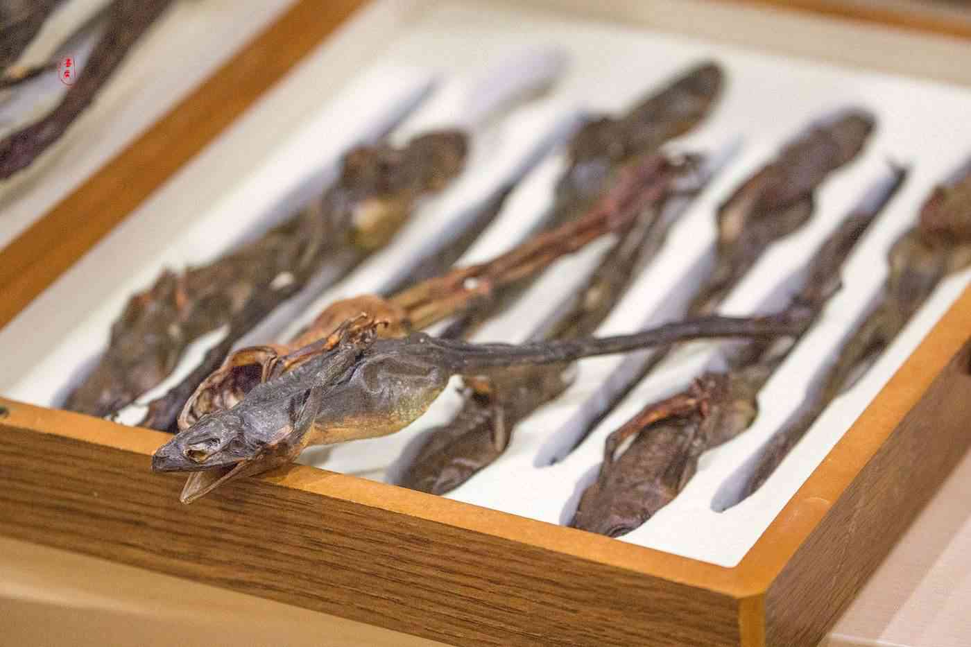 雪蛤又名东北林蛙是传统的滋补养品