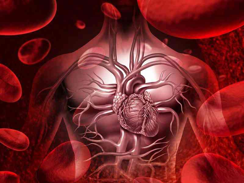 血清肌酸激酶异常会影响心脏