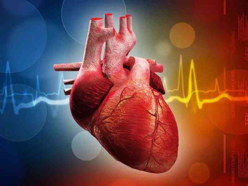 血清肌酸激酶测定主要用于检查心脏疾病