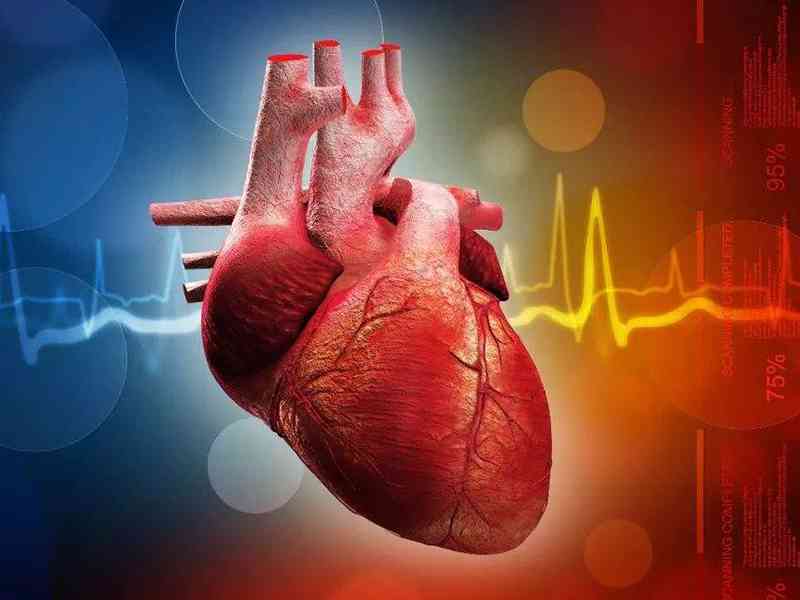 心脏疾病会导致血清肌酸激酶异常