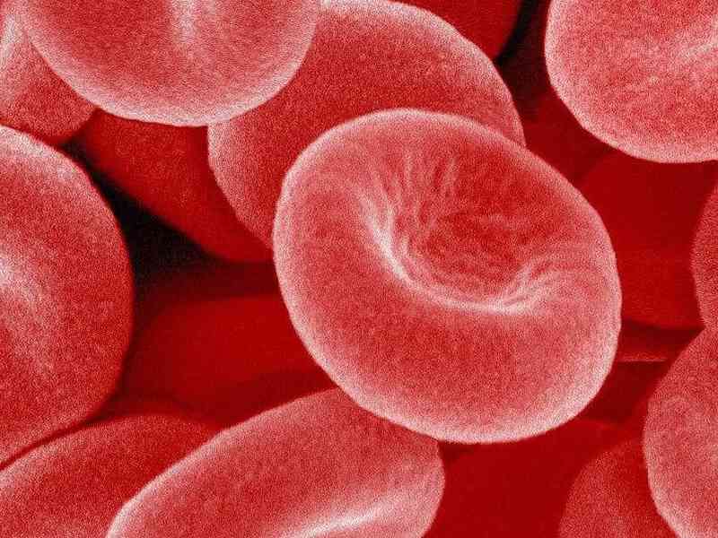 红细胞计数异常对身体的影响