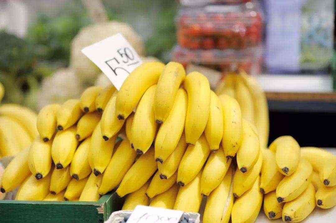 香蕉是芭蕉植物不但可以作为人类的食疗还可以作为土壤的养料