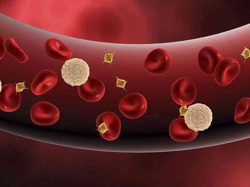 红细胞生成障碍会导致红细胞计数出现偏低