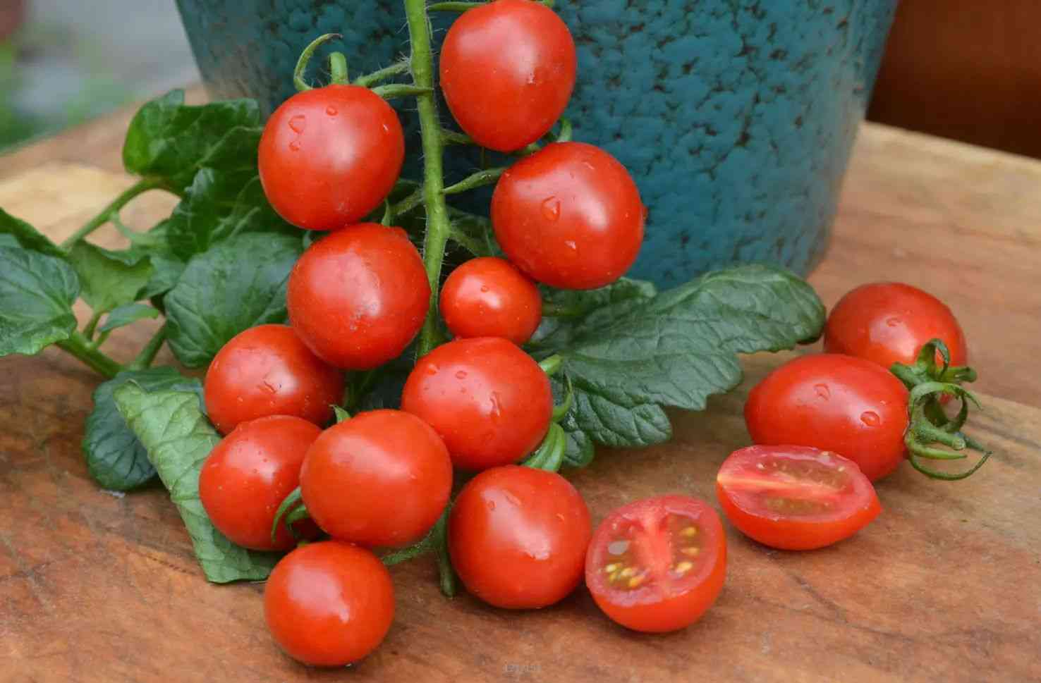 小番茄营养丰富