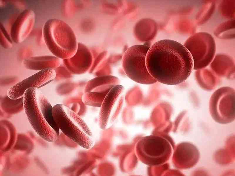 红细胞计数出现偏低意味贫血