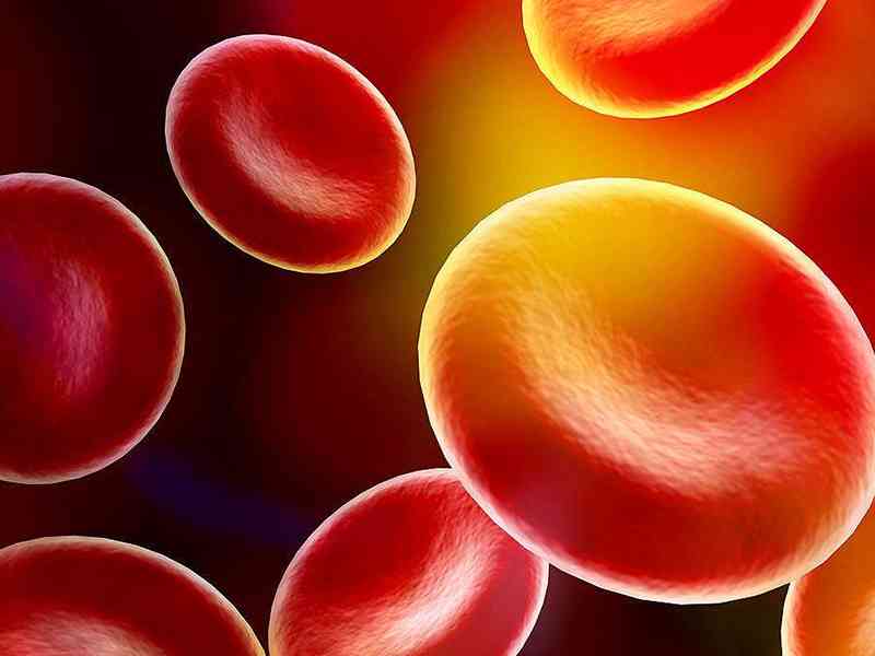 红细胞计数异常可能是贫血