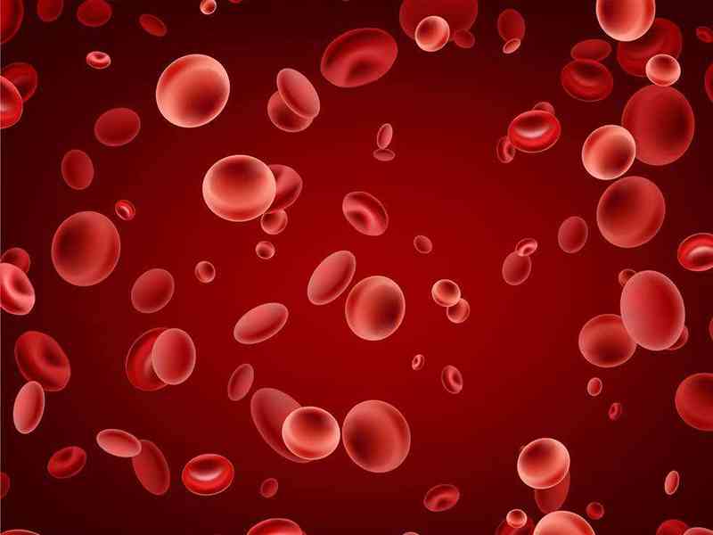 红细胞寿命缩短会导致红细胞计数异常