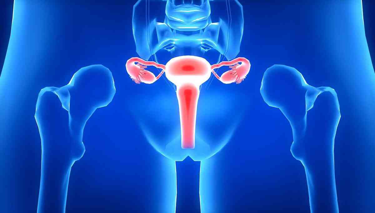 预防子宫肌瘤的方法