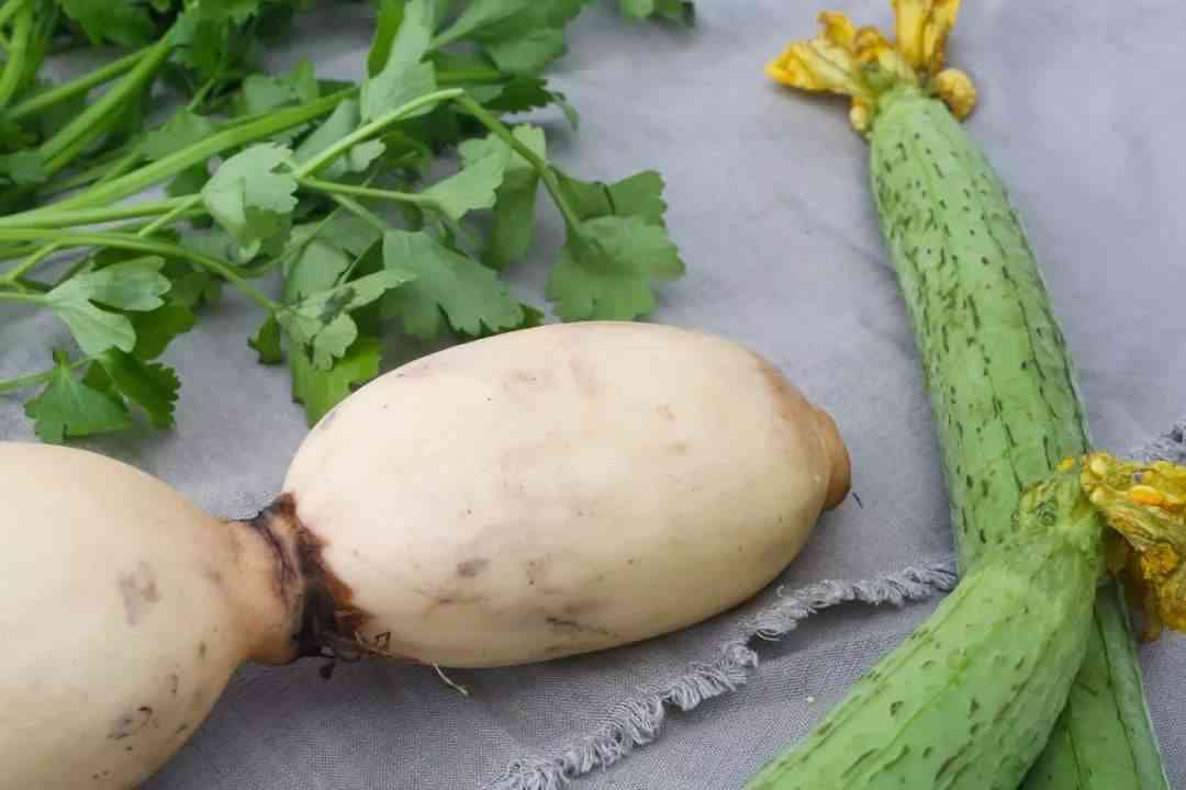 哺乳期可以吃丝瓜和莲藕