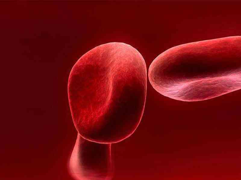 血红蛋白超标会导致身体异常