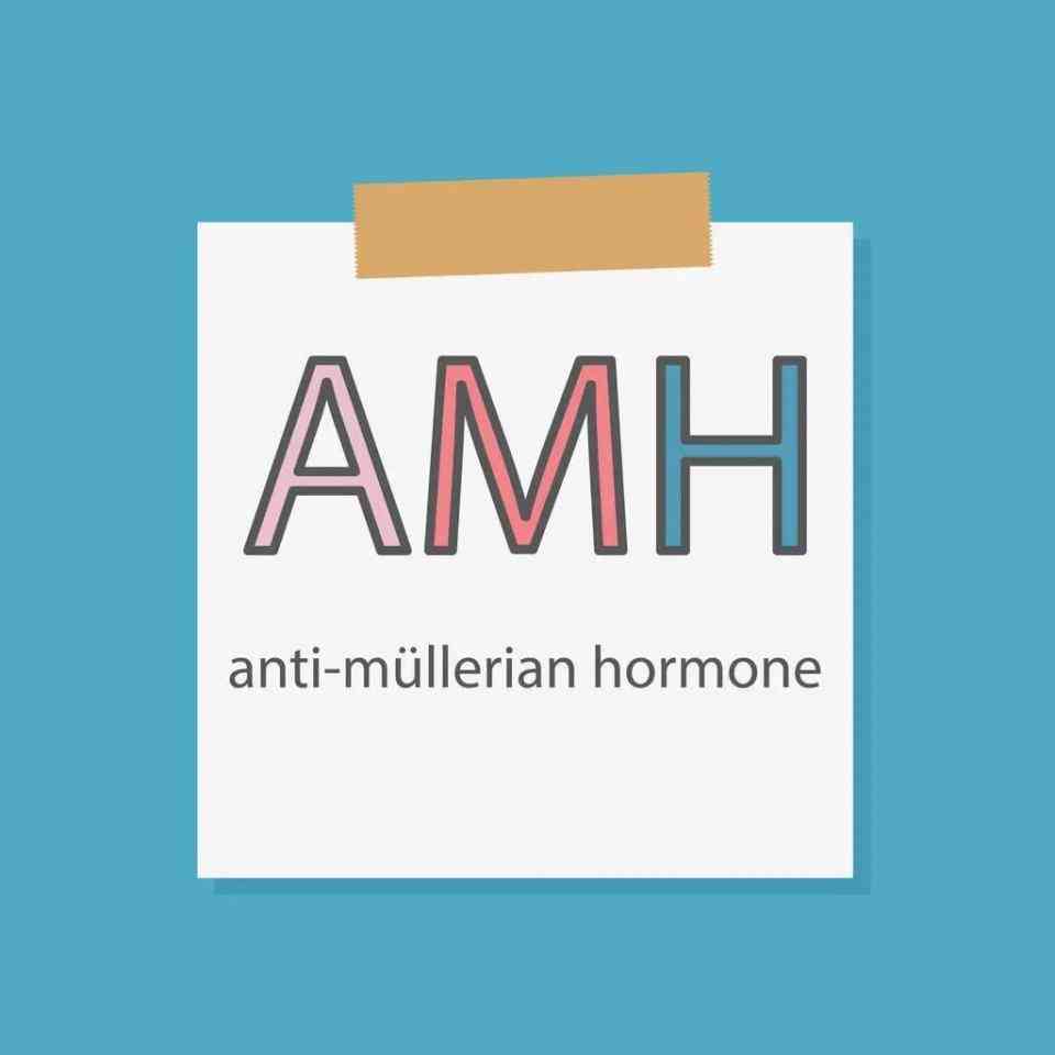 AMH值的介绍