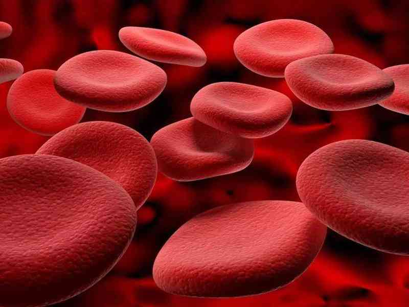 血红蛋白是红细胞中的物质