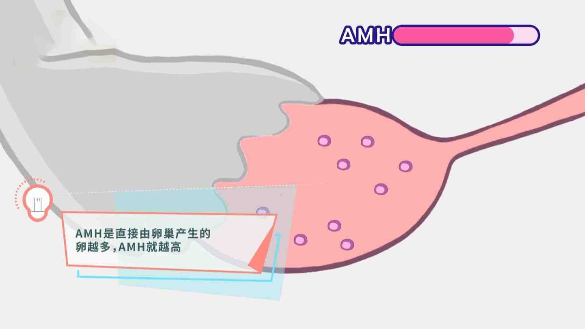 AMH值的高低的代表含义