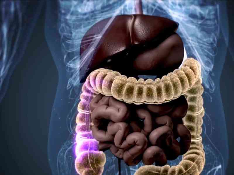 白细胞计数异常对肠胃有影响