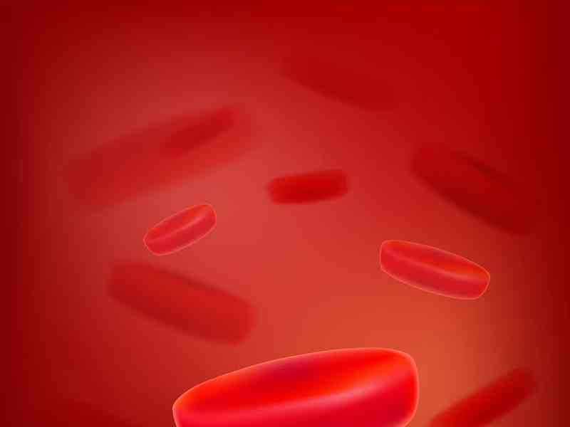 血小板减少会导致患者出血