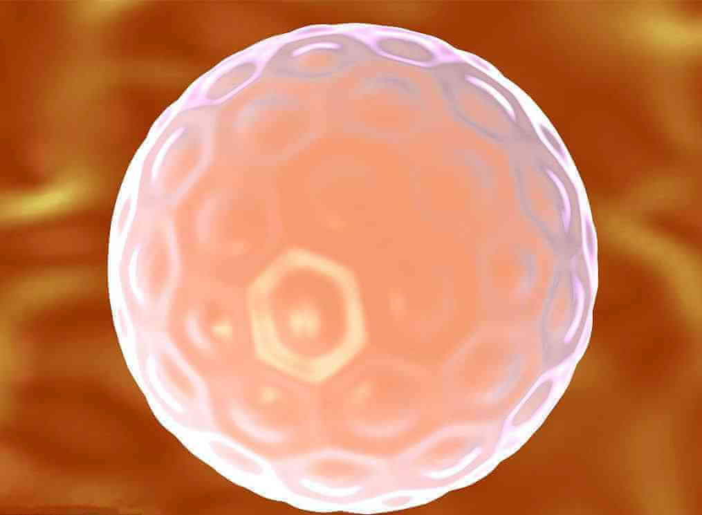 胚胎移植都比较漫长