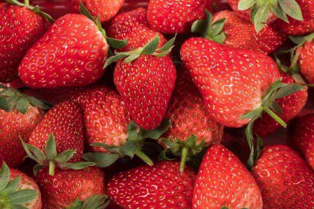 孕吐的厉害可以吃草莓