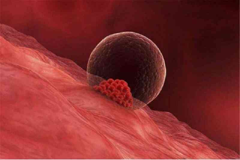 男人这回是躺枪了,精子一次就有几亿个,只有其中的一个能与卵子结合