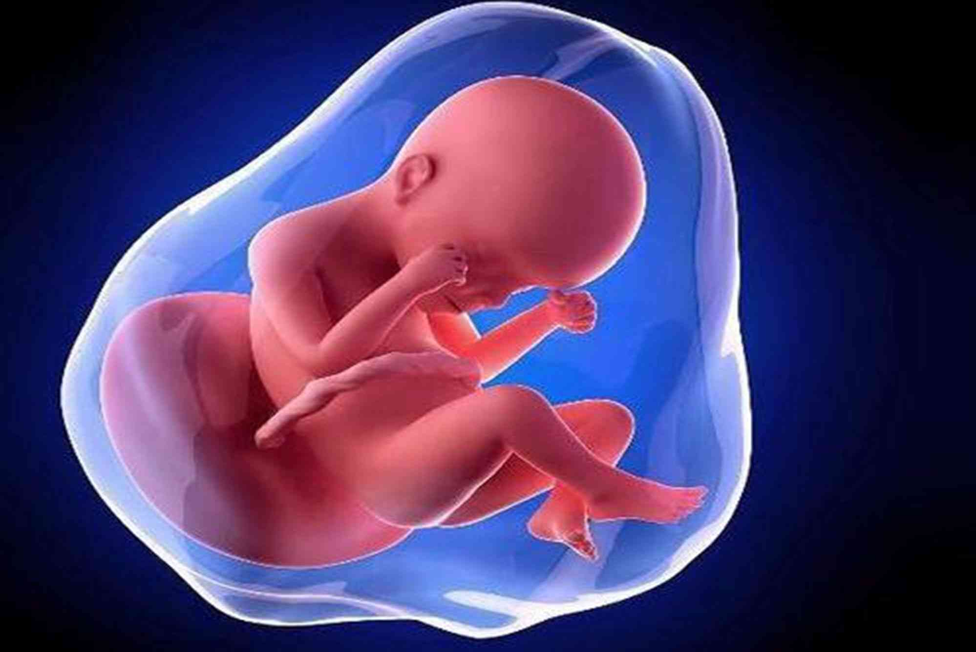 胎儿发育可能导致孕妇左肩膀疼