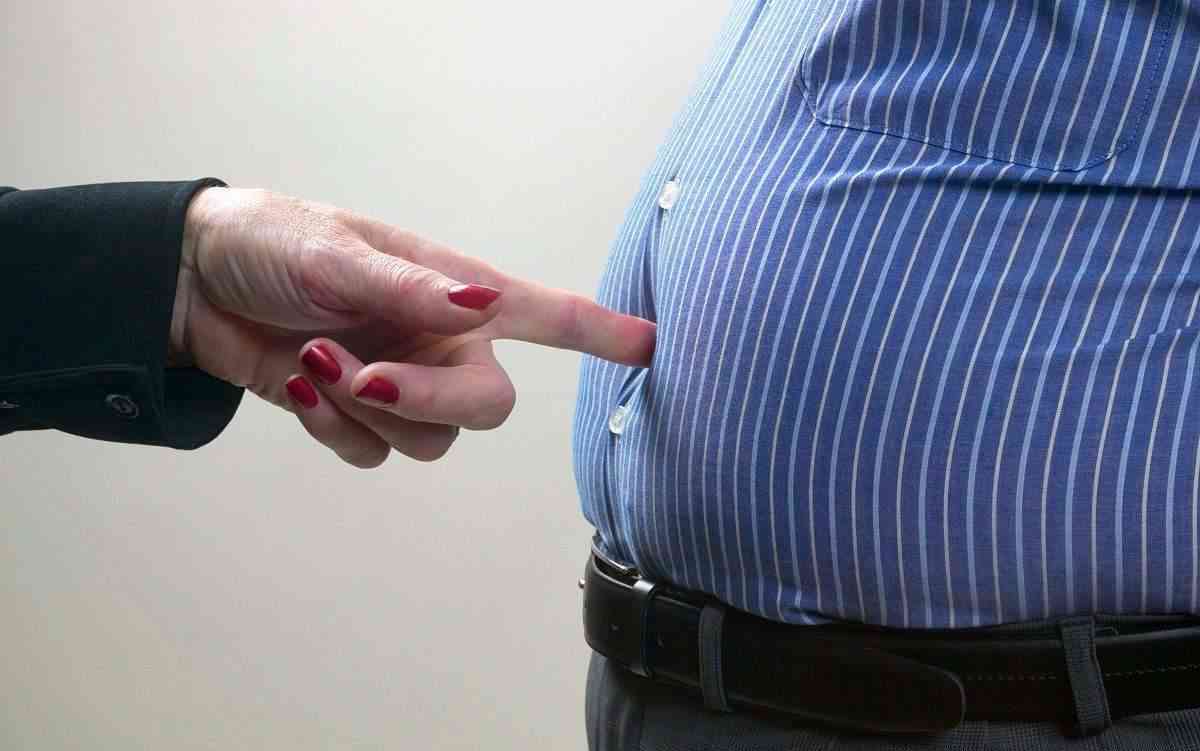 多摄入纤维素可以预防肥胖