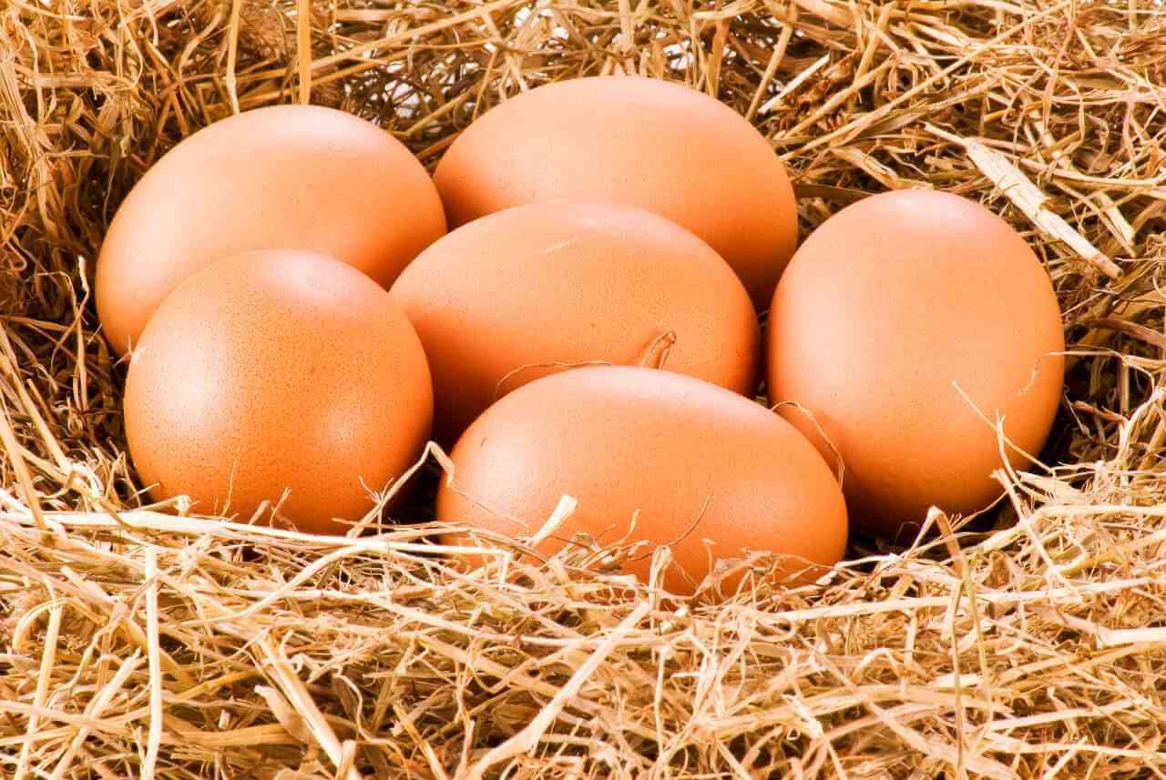 腹泻不能吃鸡蛋