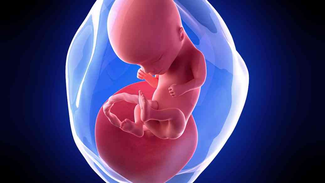 胎儿缺氧会胎动频繁