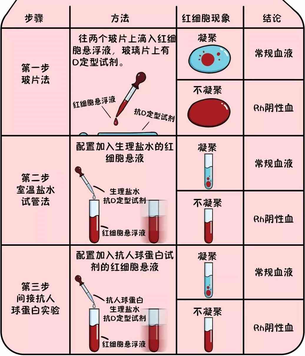 Rh血型鉴定图片