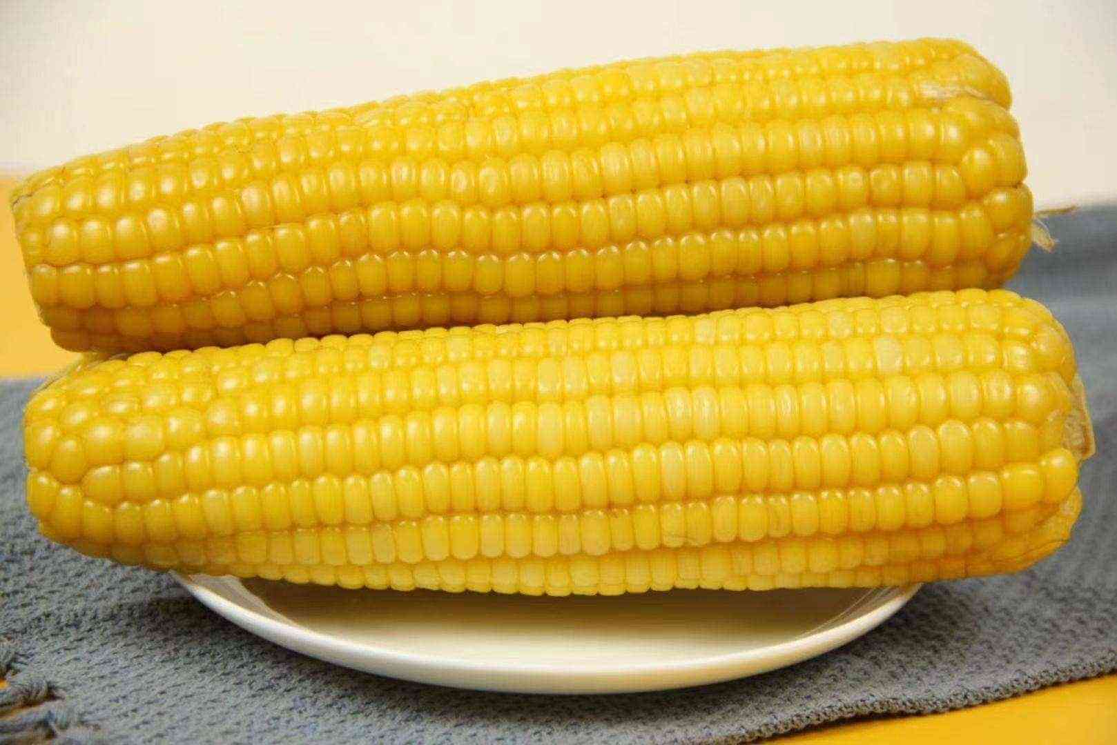 玉米可以促进胃肠的蠕动