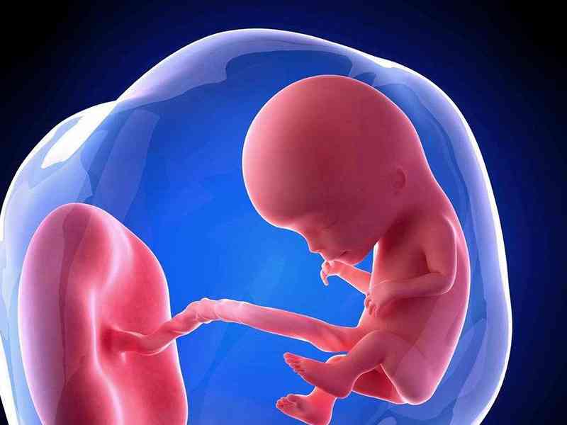 孕妇身体异常对胎儿的影响