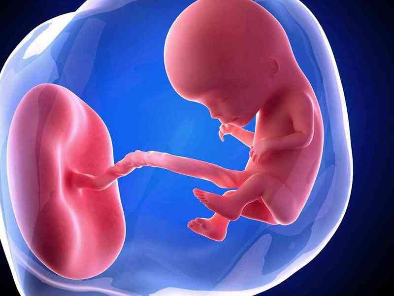 贫血可能导致胎儿发育异常