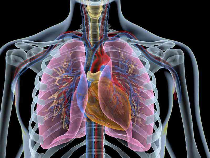 肺部结节分为良性和恶性
