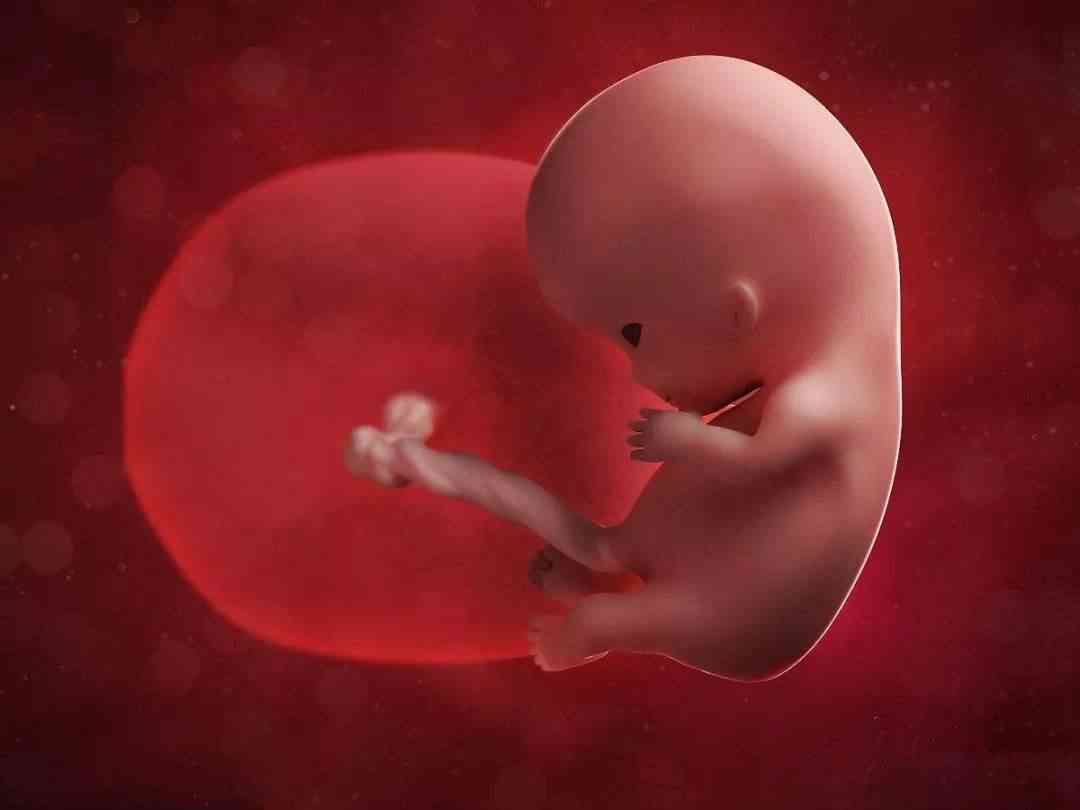 怀孕3个月见红了胎儿还能保住吗？ - 妈妈育儿网