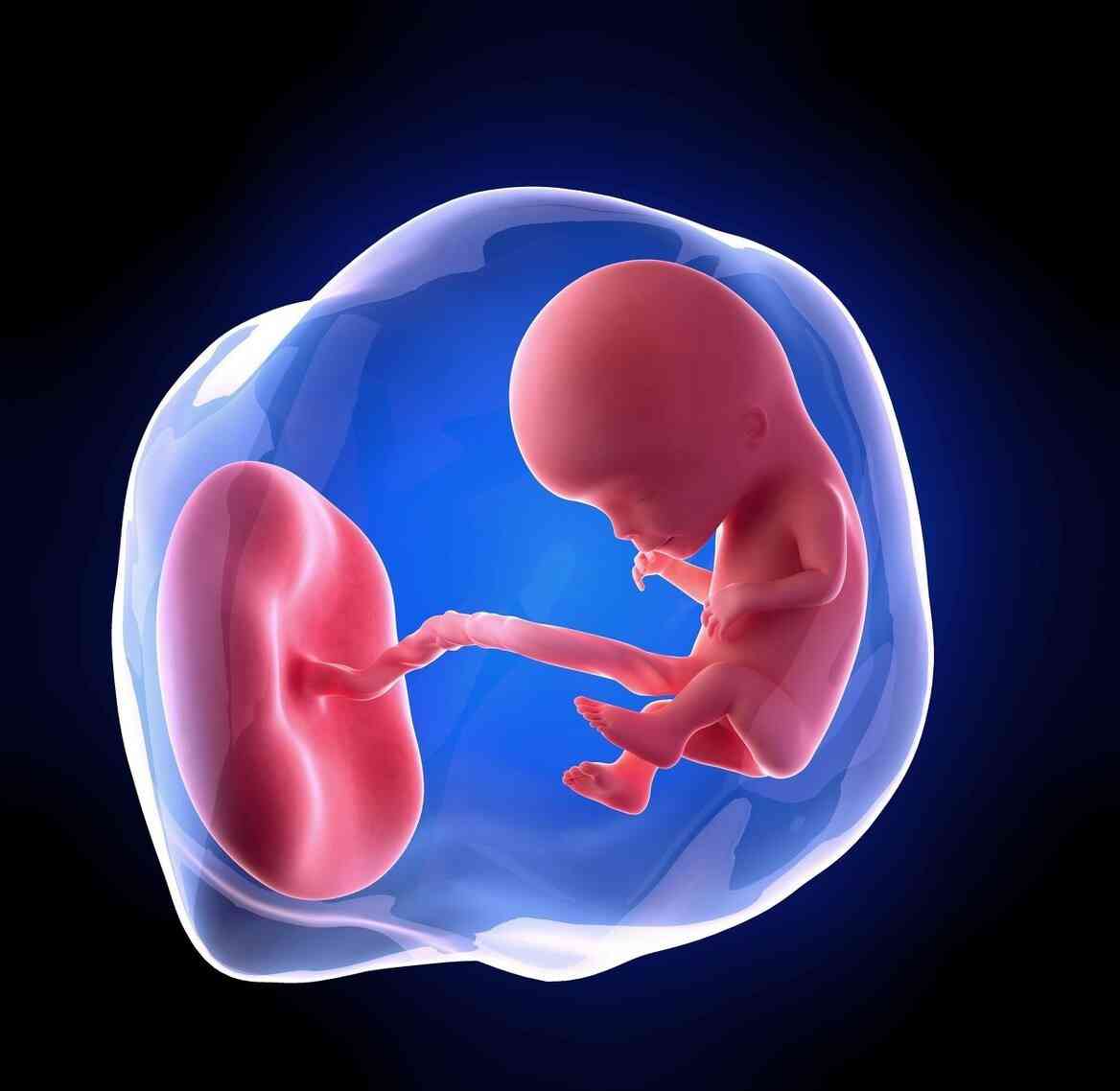 孕妇胆固醇偏高可能导致胎儿肥大
