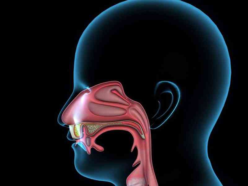 喉咙发痒是炎症的前兆