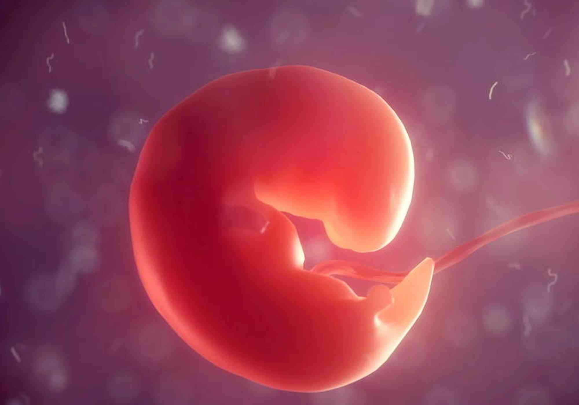 怀孕35天胎儿图片真实图片