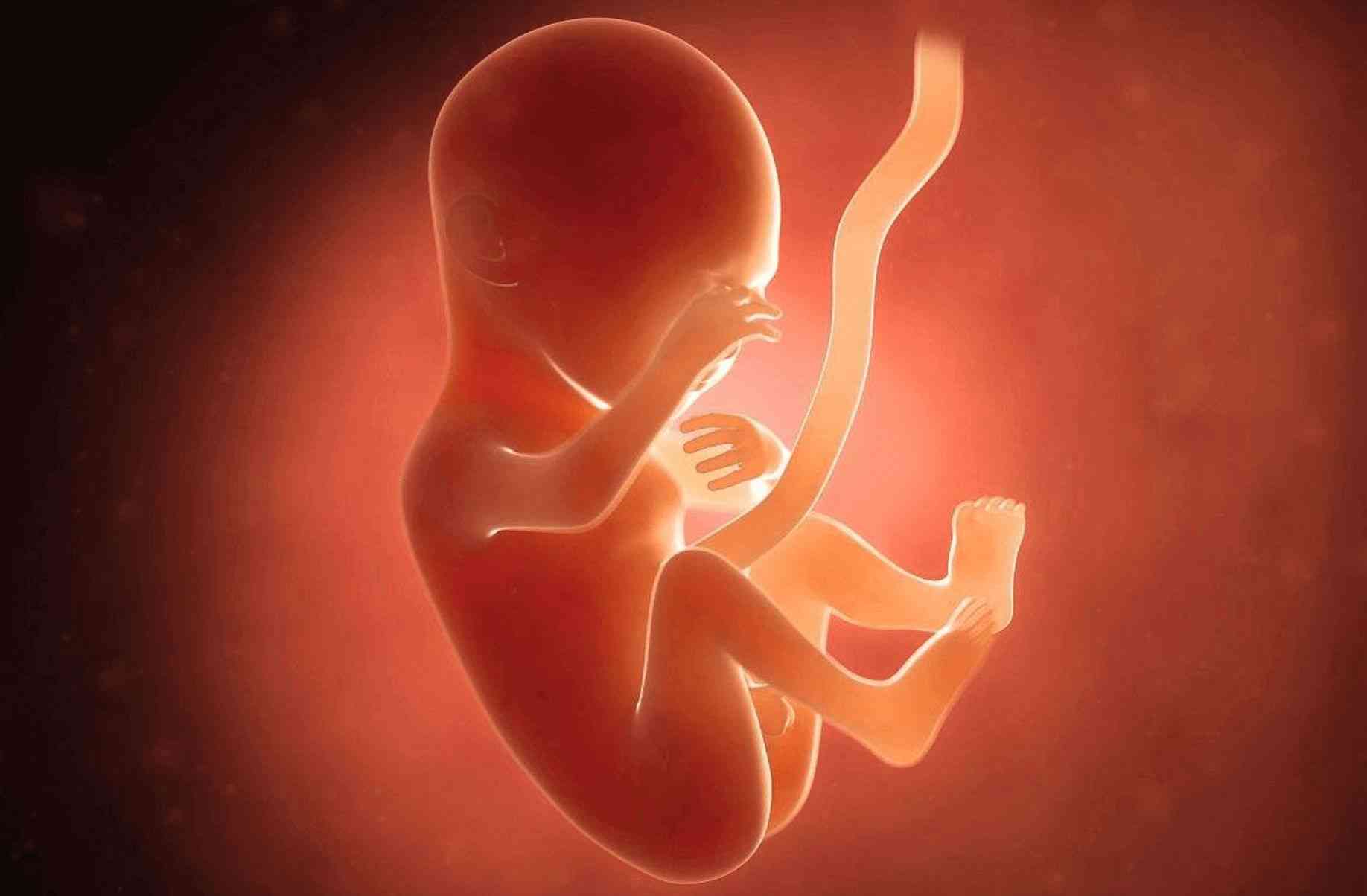 孕期身体出现问题时不治疗会影响胎儿健康