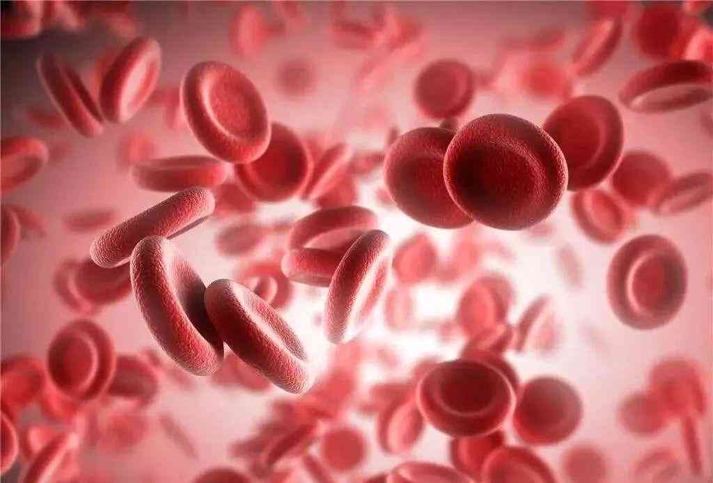 血红素是血红蛋白的辅基