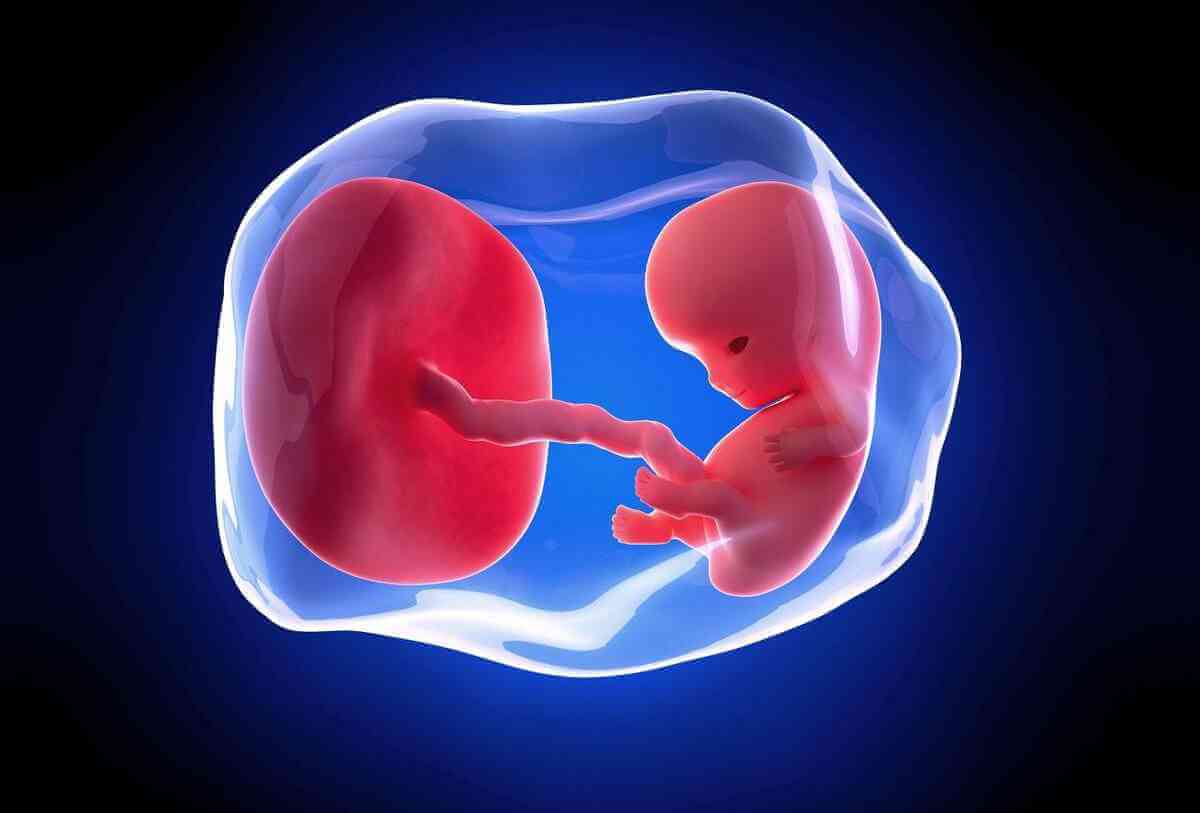 孕囊大小与孕周对照表/公式 - 准确看出胎儿发育情况 - 姐妹邦