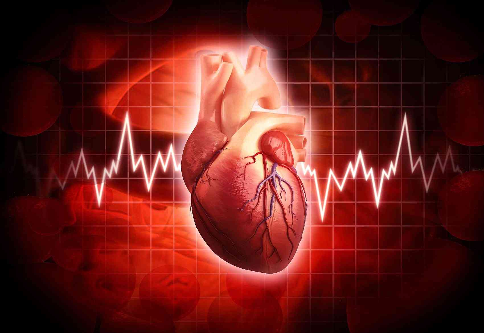 心肌酶在心肌细胞代谢中发挥作用