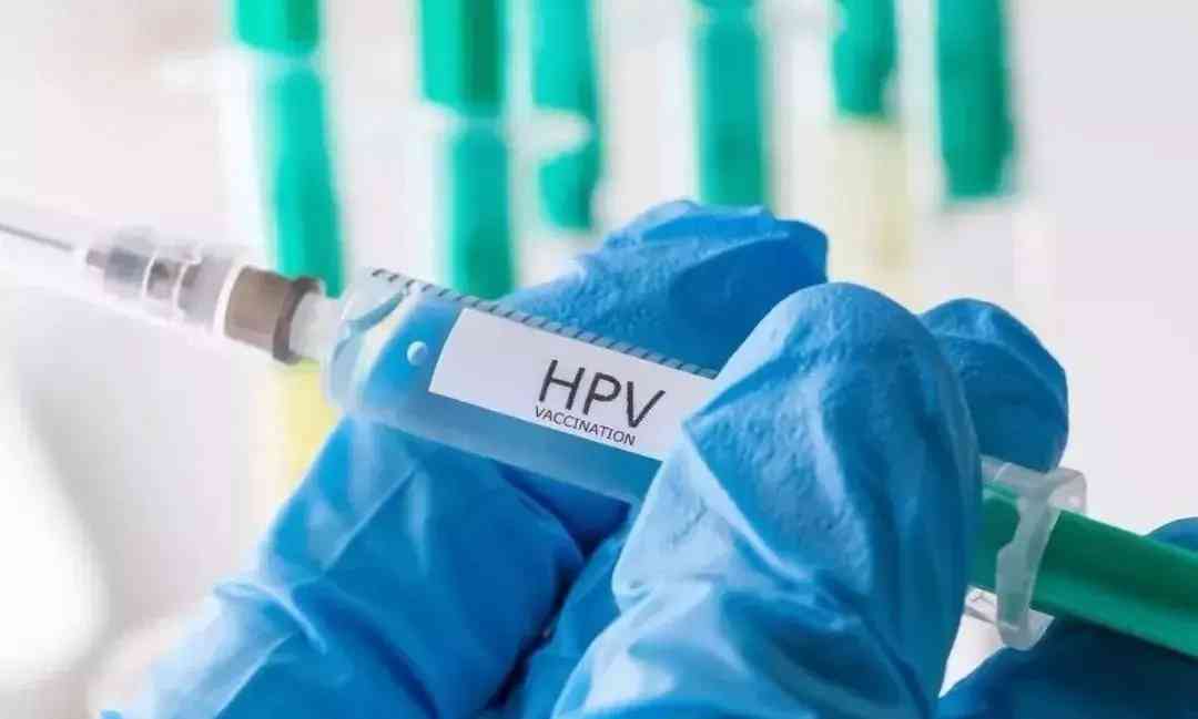 二价和四价HPV疫苗的保护效果不一样