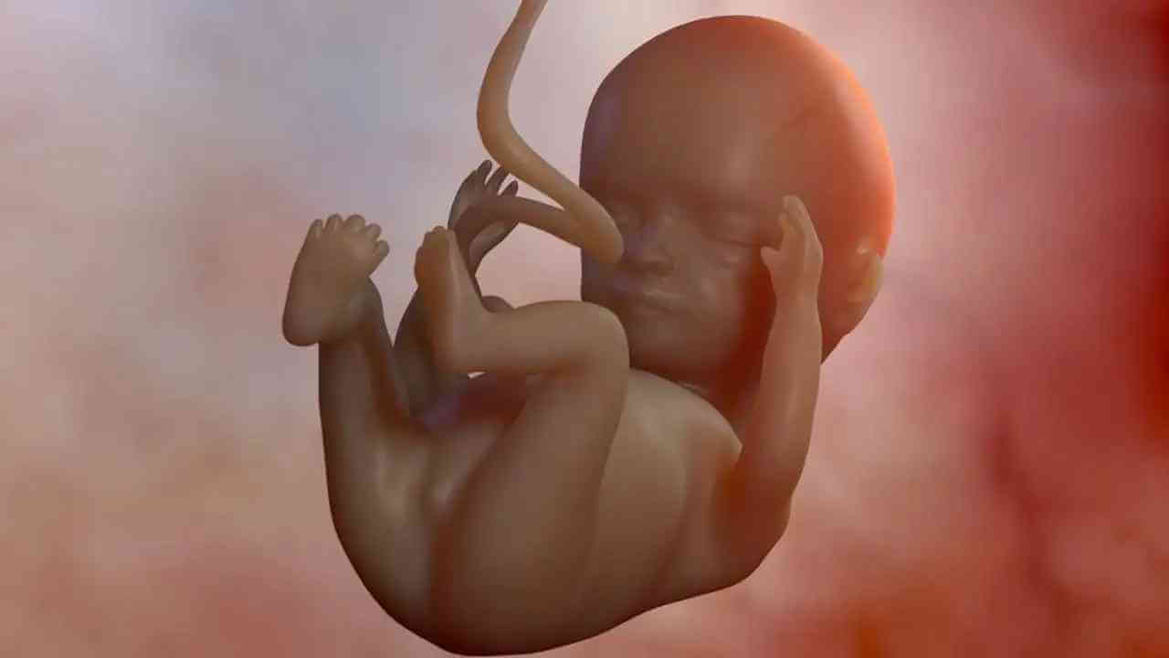 胎儿发育情况的重要检测指标,因此孕期女性可根据下面不同孕周的段的